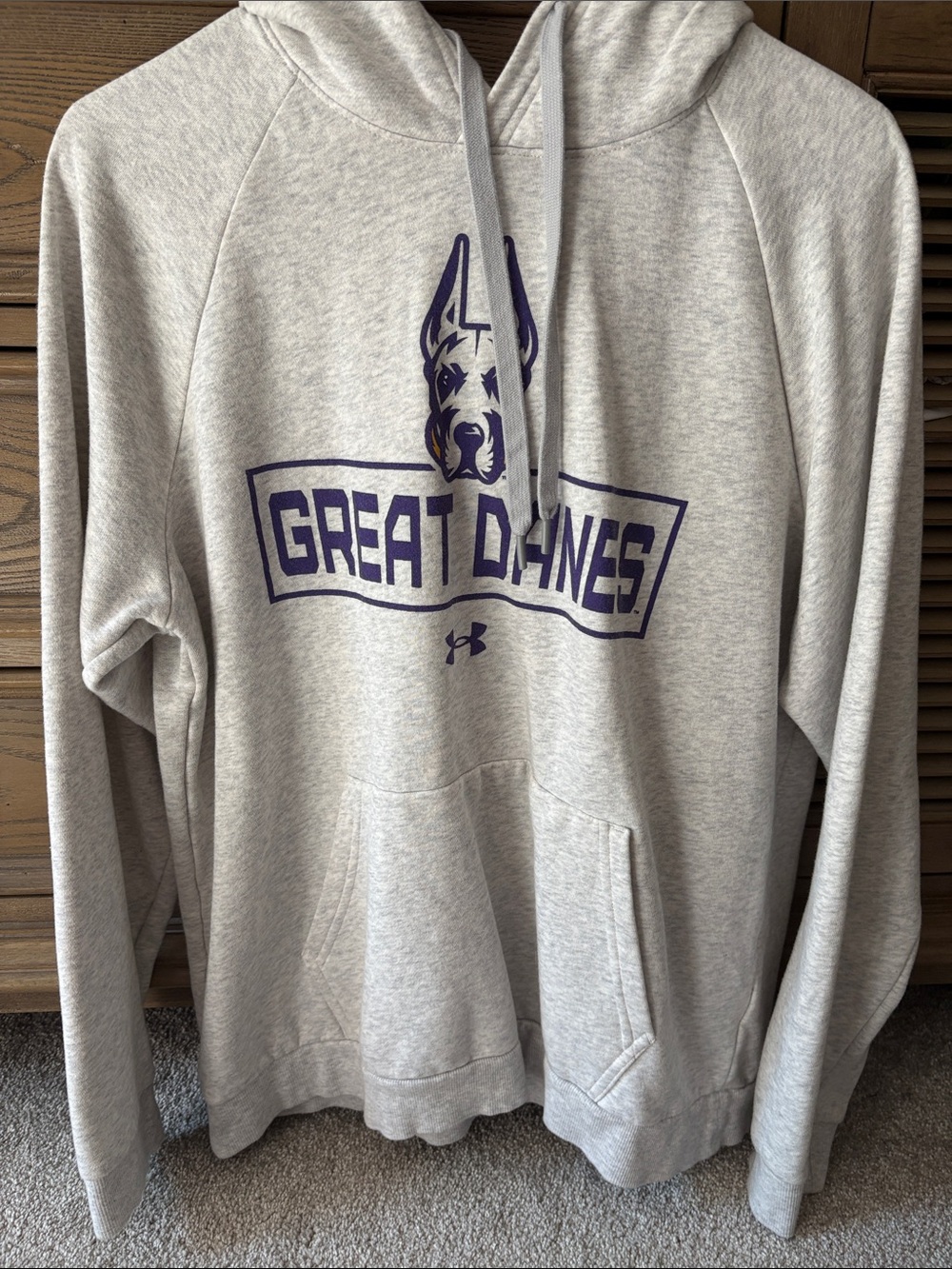 Under Armour Hoodie with Great Danes Graphic for the University at Albany